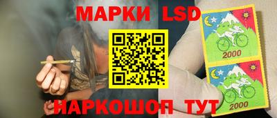 стафф Кинель