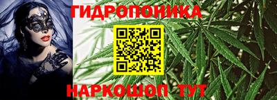 стафф Камышлов