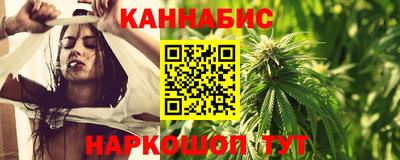 стафф Камышлов