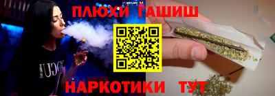 стафф Камышлов