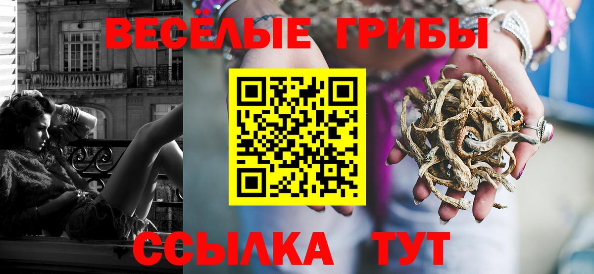 Алапаевск  купить наркотики цена  Вход с VPN  Псилоцибиновые грибы Psilocybine cubensis 